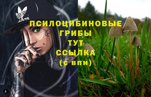 наркотики Алексин