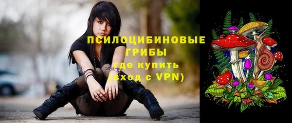 мяу мяу мука Абинск