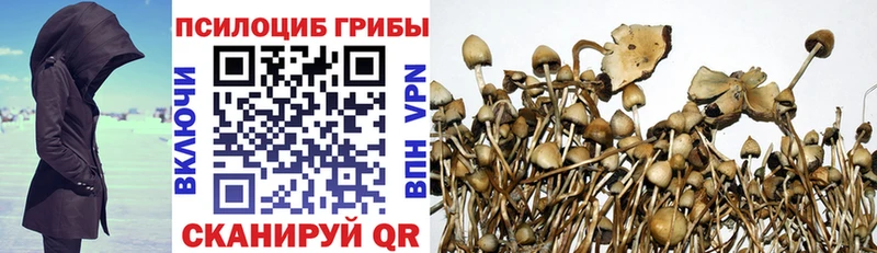 где можно купить   Когалым  Псилоцибиновые грибы GOLDEN TEACHER 