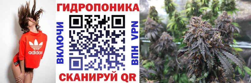 Шишки марихуана индика  наркотики  Когалым 
